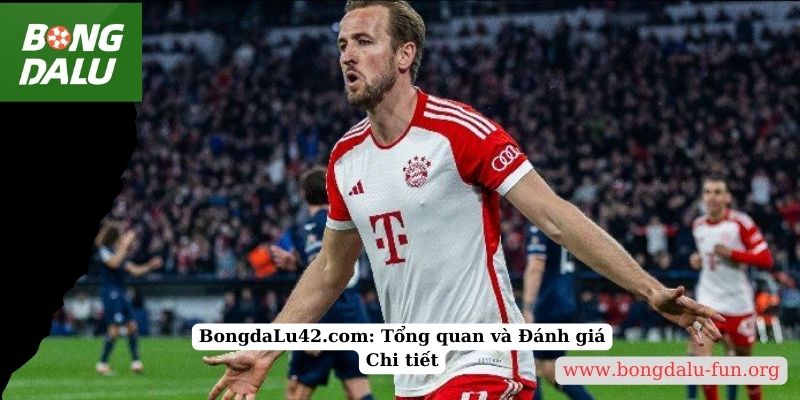 BongdaLu42.com: Tổng quan và Đánh giá Chi tiết