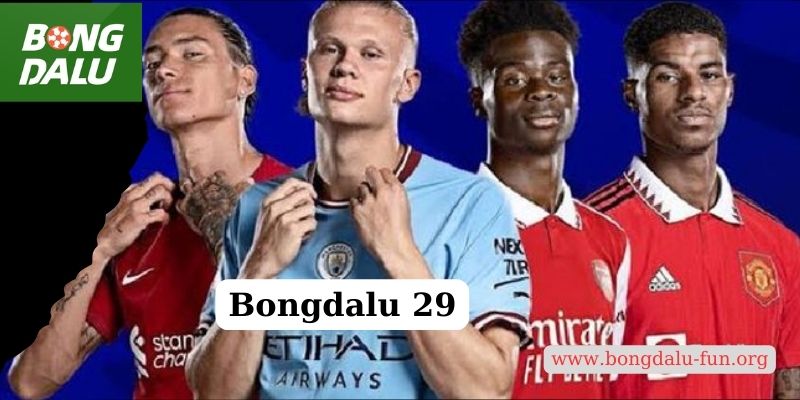 Bongdalu 29