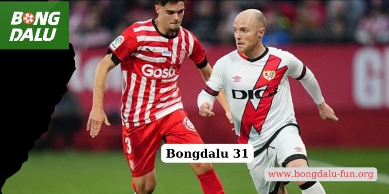 Bongdalu 31