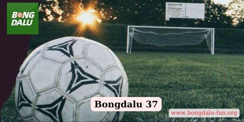 Bongdalu 37