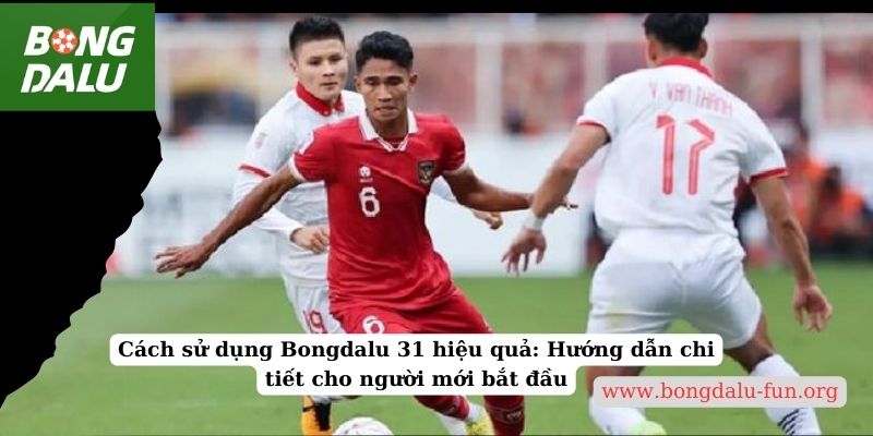 Cách sử dụng Bongdalu 31 hiệu quả: Hướng dẫn chi tiết cho người mới bắt đầu