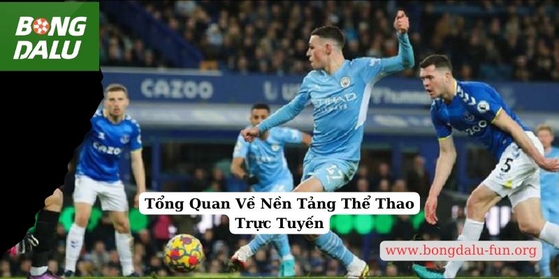 Tổng Quan Về Nền Tảng Thể Thao Trực Tuyến