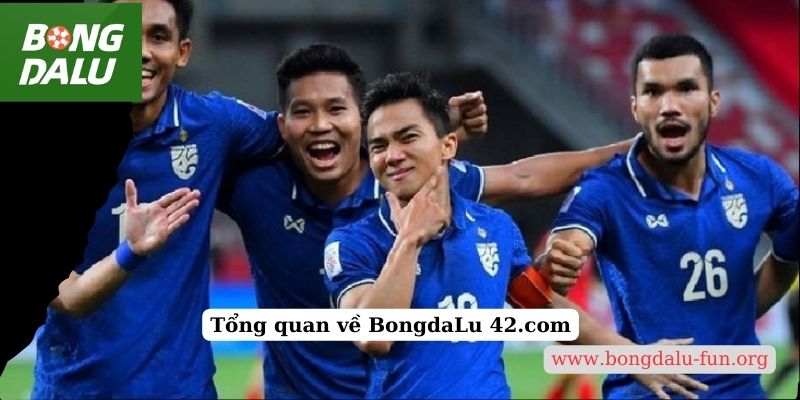 Tổng quan về BongdaLu 42.com