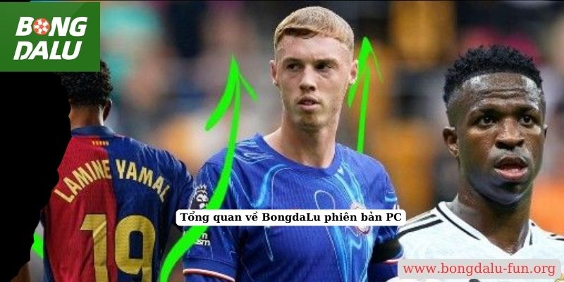 Tổng quan về BongdaLu phiên bản PC