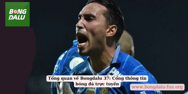 Tổng quan về Bongdalu 37: Cổng thông tin bóng đá trực tuyến