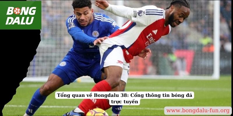 Tổng quan về Bongdalu 38: Cổng thông tin bóng đá trực tuyến