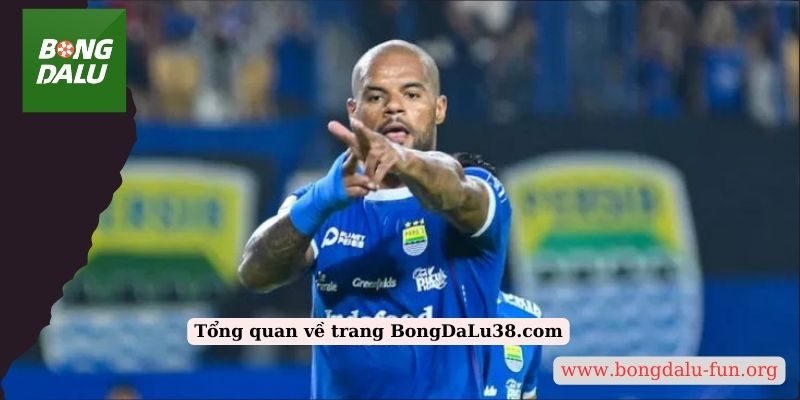 Tổng quan về trang BongDaLu38.com