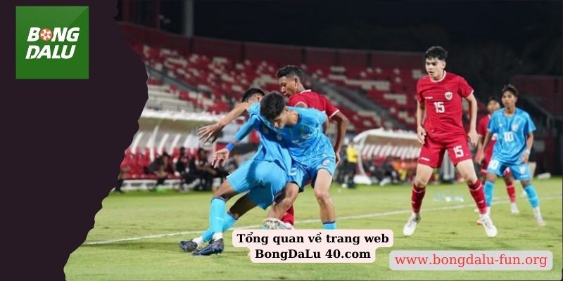 Tổng quan về trang web BongDaLu 40.com